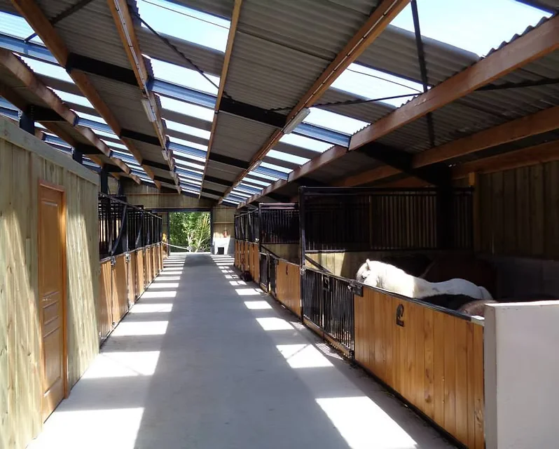Boxes pour chevaux et poneys