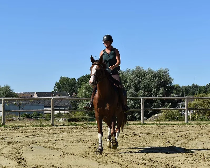 Carrière d'équitation
