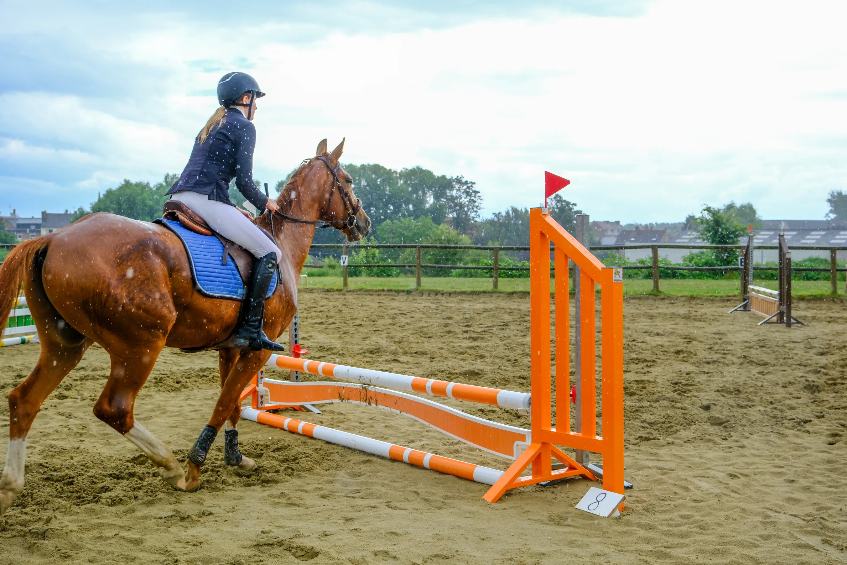 Cheval en arrière plan - Écurie du Quartz